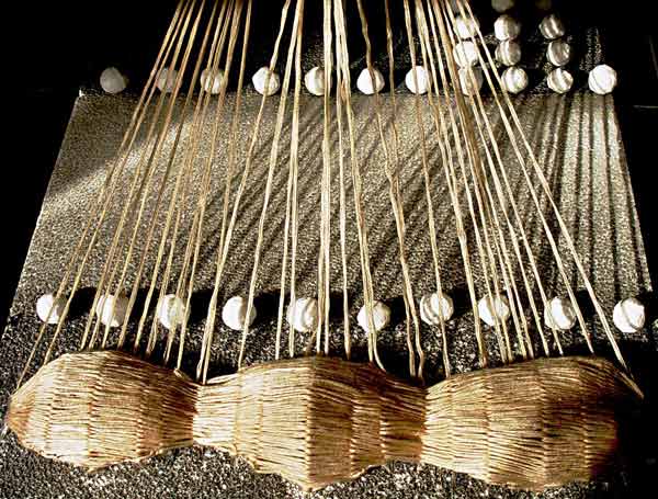 Chinesische Seidenraupe